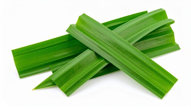 Fresh pandan leaves isolated on white background 