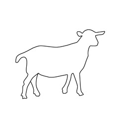 Cartoon illustration flat design outline hand drawing goat. farm, dairy, qurbani, Eid al-Adha.