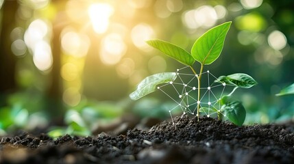 AI for Carbon Emissions Tracking - Using AI to track and optimize carbon emissions across industries, helping businesses achieve sustainability goals.