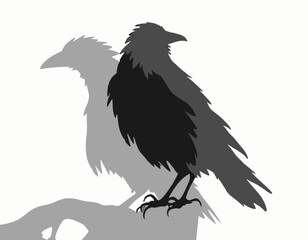 Obraz premium Bird Silhouette With Shadow On Branch