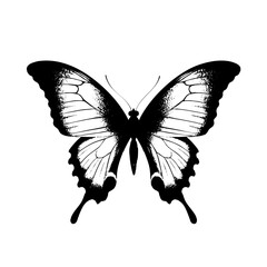 Detailed butterfly illustration for nature lovers and insect enthusiasts perfect for prints and designs silhouette