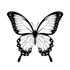Detailed butterfly illustration in black and white for coloring pages and graphic design projects use free 100 silhouette