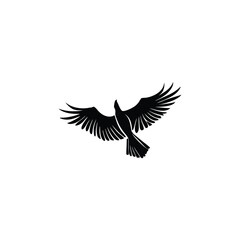 Elegant Eagle Vector Illustration