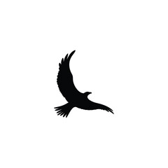 Elegant Eagle Vector Illustration