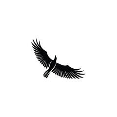 Elegant Eagle Vector Illustration