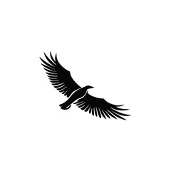   Elegant Eagle Vector Illustration