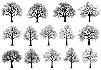 Obraz premium Bare Branches: A Silhouetted Collection