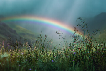 A rainbow is seen in the sky above a field of grass