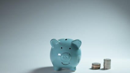 Saving money action home financial planning content indoor environment close-up viewpoint personal...