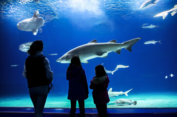 Silhouettes of mother with kids in oceanarium, family with children looking at shark and fishes in aquarium