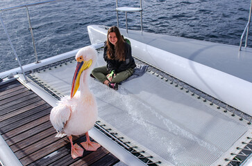 Girl tourist looking at pelican bird on catamaran, safari travel vacation in Africa, Walvis Bay catamaran ocean wildlife tour, Namibia