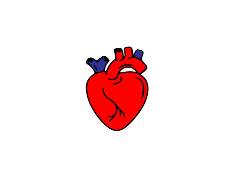 The image is a colored cartoon-style illustration of a human heart