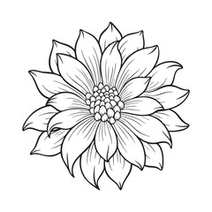 Realistic Dahlia Flower Coloring Page