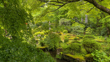 Obraz premium Kyoto Sanzen-in Temple