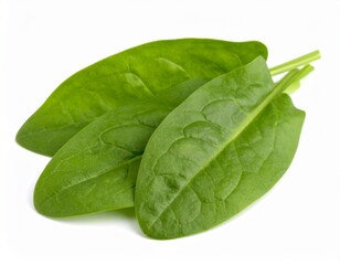 Sorrel leaves isolated on white background