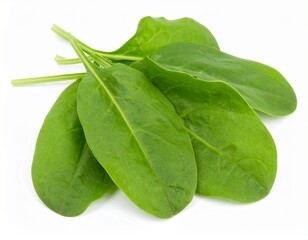 Sorrel leaves isolated on white background