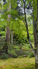Kyoto Sanzen-in Temple