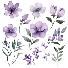 Obraz premium A set of hand-drawn watercolor flowers, featuring a soft purple hue and natural green leaves, isolated on a transparent background (18)
