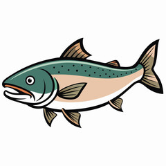 fish on a white background