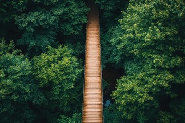 Fototapeta premium Aerial view of a wooden suspension bridge surrounded by green treetops. It can be used to illustrate travel, nature, and adventurous journeys.