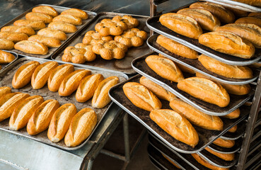 Large group of fresh breads 