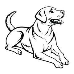 Fototapeta premium Labrador Retriever Dog vector on white background