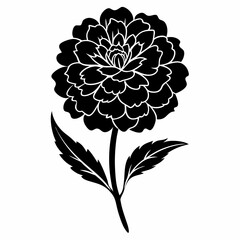 Merigold flower vector silhouette art