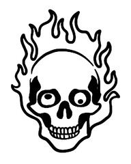 human skull vector illustration