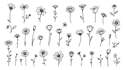 Fresh Flower Arrangements Brighten Up Rooms