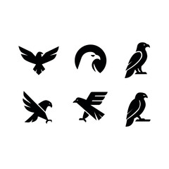 Majestic Birds of Prey Eagle, Hawk, and Falcon Logo Designs