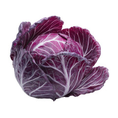Obraz premium Vibrant Red Radicchio Cabbage Fresh Healthy Vegetable Close Up Shot
