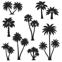 Silhouette Palms: Tropical Nocturne