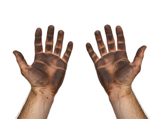 Close-up of expressive African American elder hands in an open gesture, isolated on a transparent background &ndash; symbolizing wisdom, hardship, generosity, and timeless human dignity.