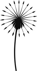 Obraz premium Elegant Dandelion Silhouette A Botanical Illustration of Nature's Ephemeral Beauty