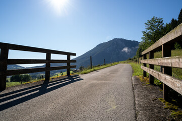 Mountain road with tress and grass in summer