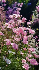 Obraz premium Sunlight illuminates a vibrant array of pink flowers and verdant foliage in summer garden
