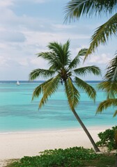 Obraz premium Tropical Beach Scene with Palm Tree and Turquoise Water