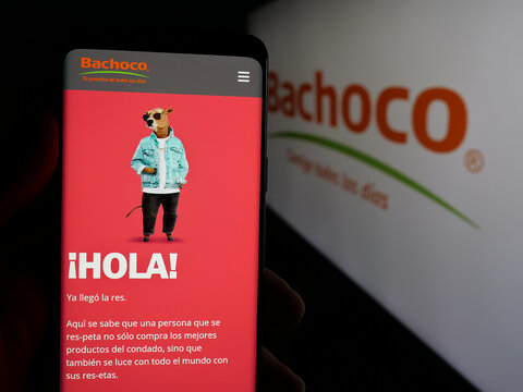 Stuttgart, Germany - 05-15-2025: Person holding cellphone with webpage of company Industrias Bachoco S.A. de C.V. on screen in front of logo. Focus on center of phone display.
