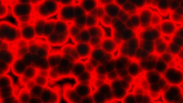 Abstract dark red background animation, animated glowing dark red flow.