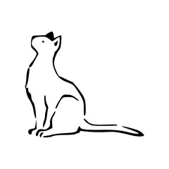 sitting cat sketch drawing