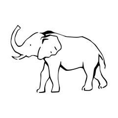 simple stylized elephant drawing