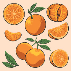ORANGE ILLUSTRATIONS