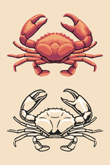 Crab Hand Drawn Illustration
