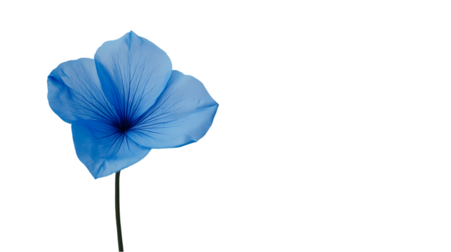 A single blue flower with visible petals and stem isolated space centered isolated on transparent background - Powered by Adobe