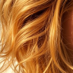 Naklejka premium Closeup of Shiny Blonde Hair with Warm Lighting