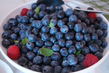 Blueberry, Fresh Fruits - ブルーベリー フルーツ