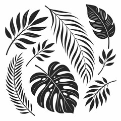 ropical leaves, palm leaves silhouettes, diverse collection, black shapes, leaf vector