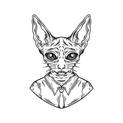illustration art black and white hand drawn sphynx tattoo and t-shirt design
