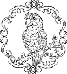 illustration art black and white hand drawn parrot bird with engraving frame tattoo logo and t-shirt design
