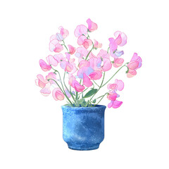 Naklejka premium Delicate Pink Sweet Pea Flowers in a Blue Pot A Beautiful Floral Arrangement